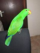 image003