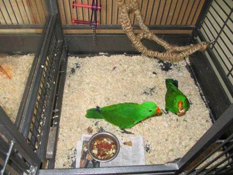 image004