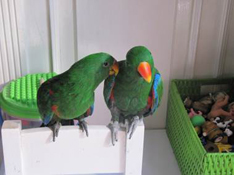 image009