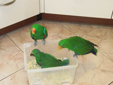 image010