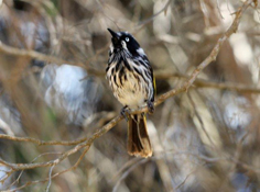 image023