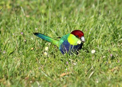 image024