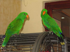 image002