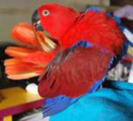 image002