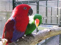 image006