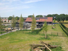 image009