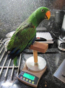 image003