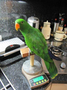 image004