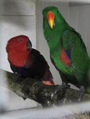 image014