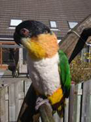 image023