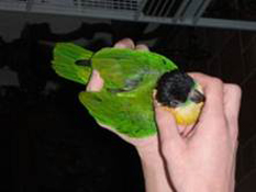 image024