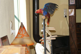 image011
