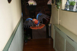 image012