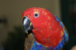 image015