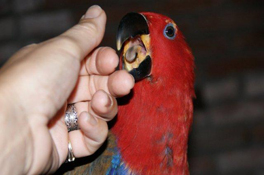 image020