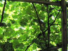 image022