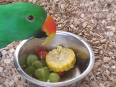image007