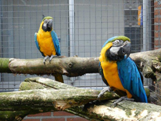 image008