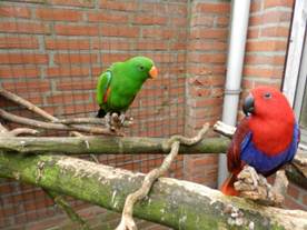 dagboek_week_11-7