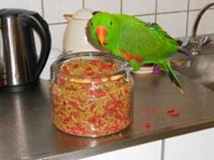 image008