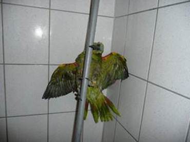 image011