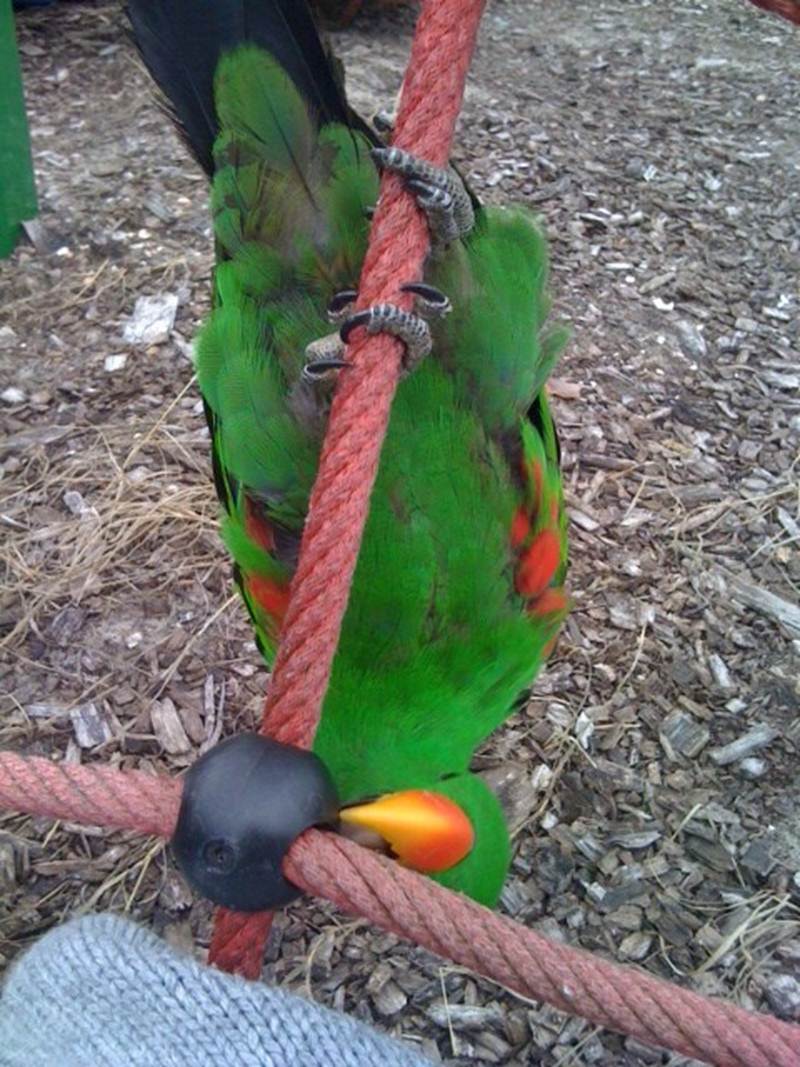 image002