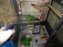 image011