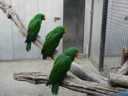 image06