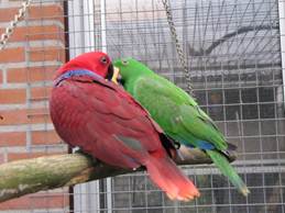 image07