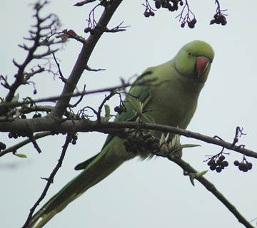 image012