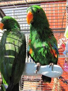 image013