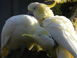 image020