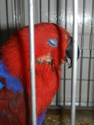 image014
