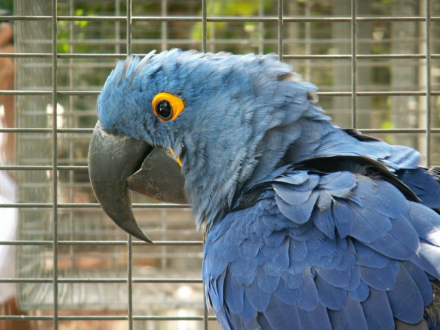 image018