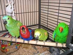 image022