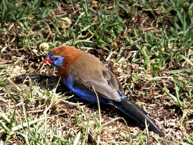 image026