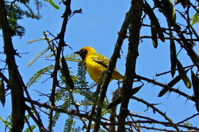 image029