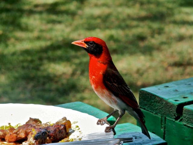 image030