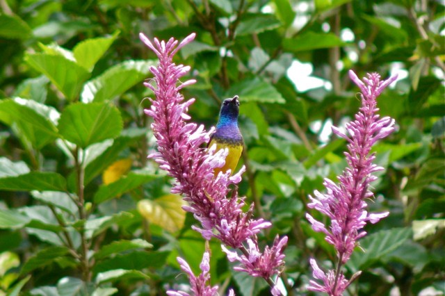 image032