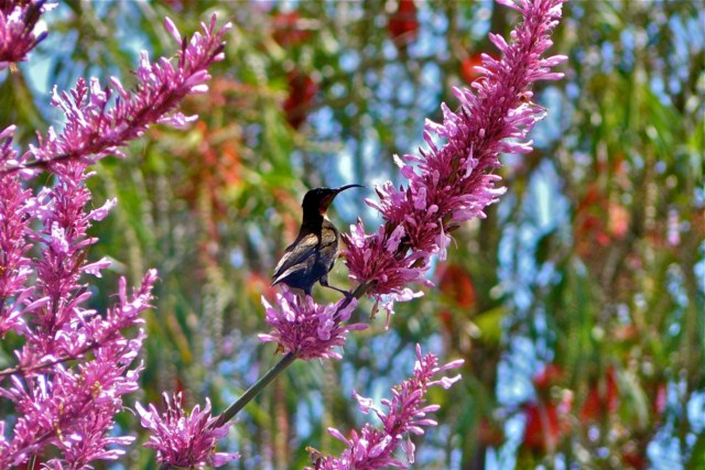 image033