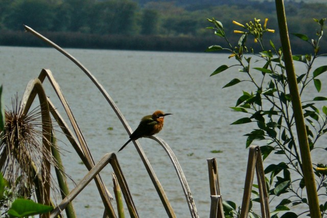 image034