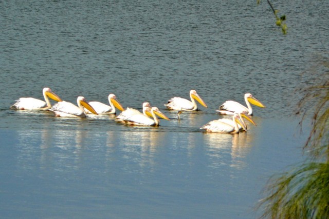 image035