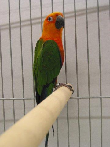 image007