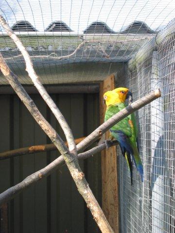 image008
