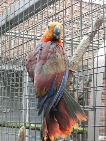 image003