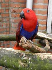 image008