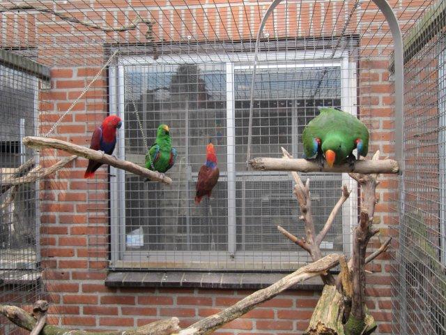 image010