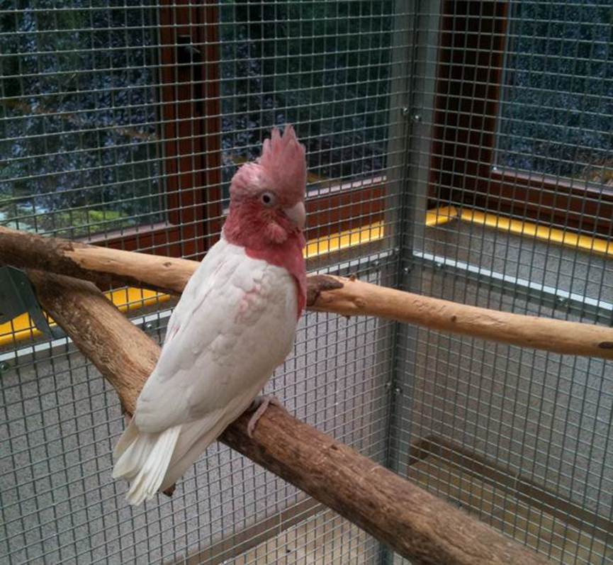 image013