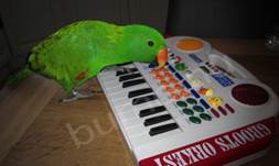 image014