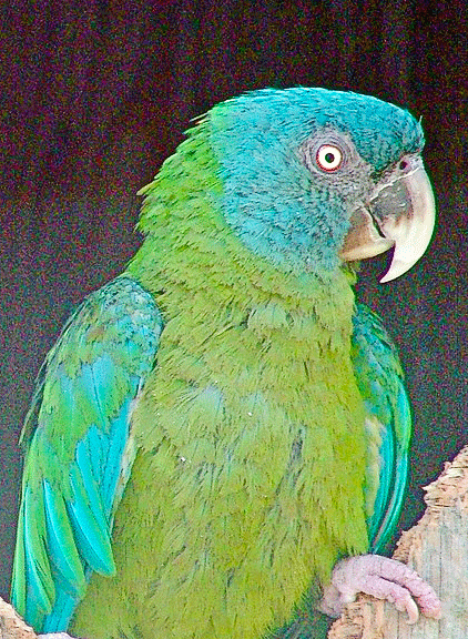 image011